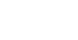 Flash Sale